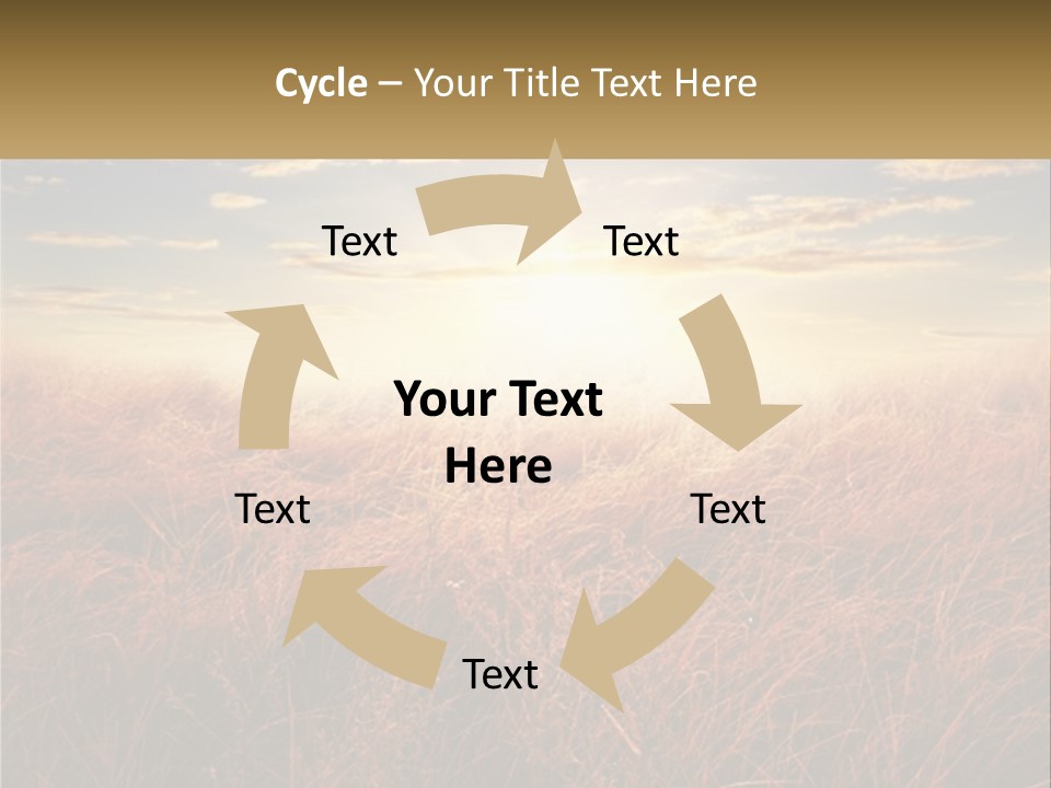A Field Of Grass With The Sun In The Background PowerPoint Template
