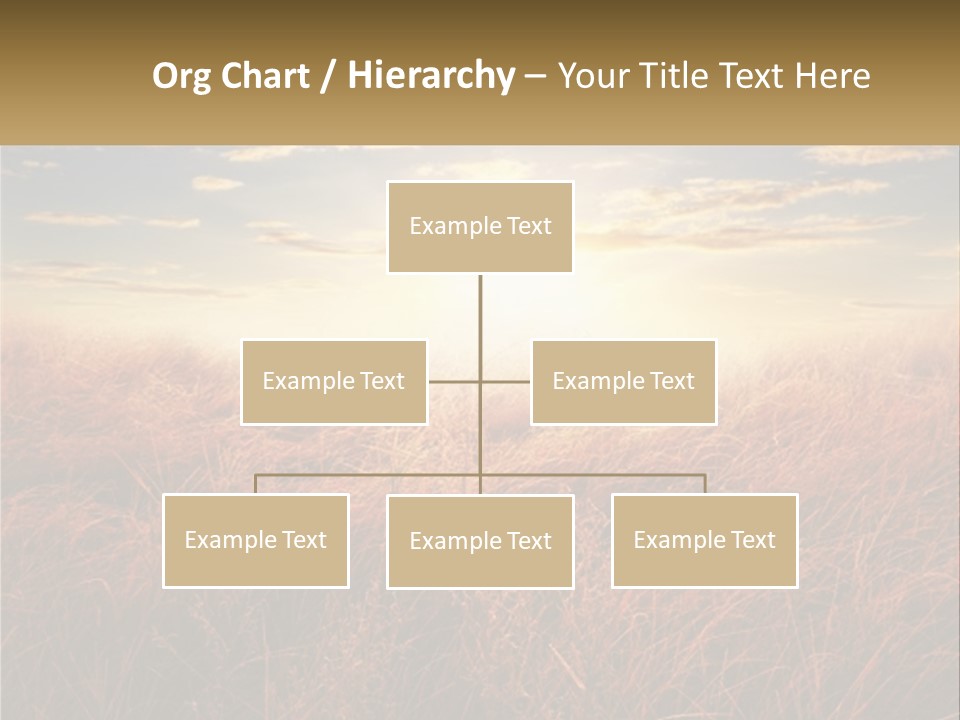 A Field Of Grass With The Sun In The Background PowerPoint Template