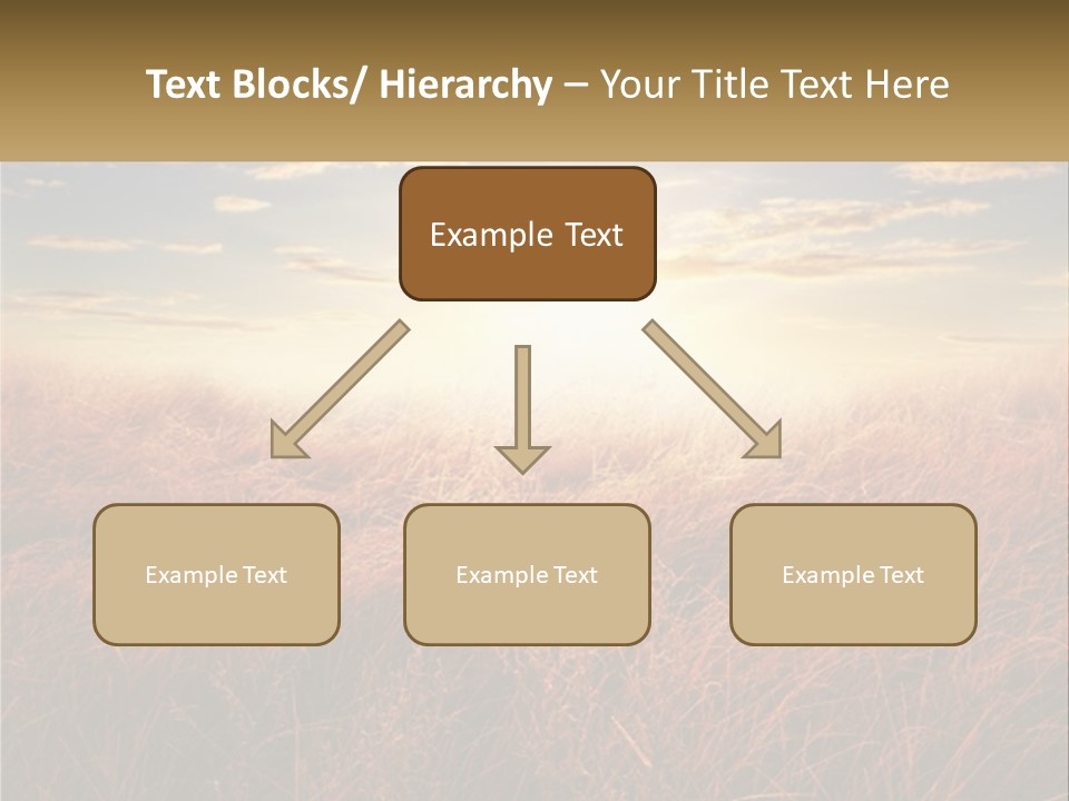 A Field Of Grass With The Sun In The Background PowerPoint Template