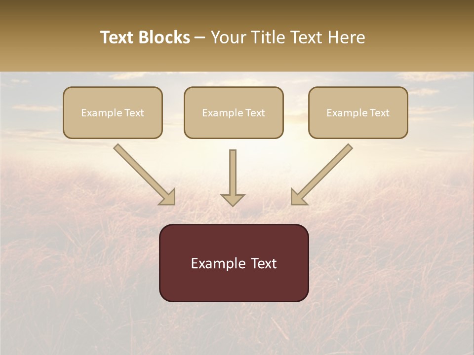 A Field Of Grass With The Sun In The Background PowerPoint Template