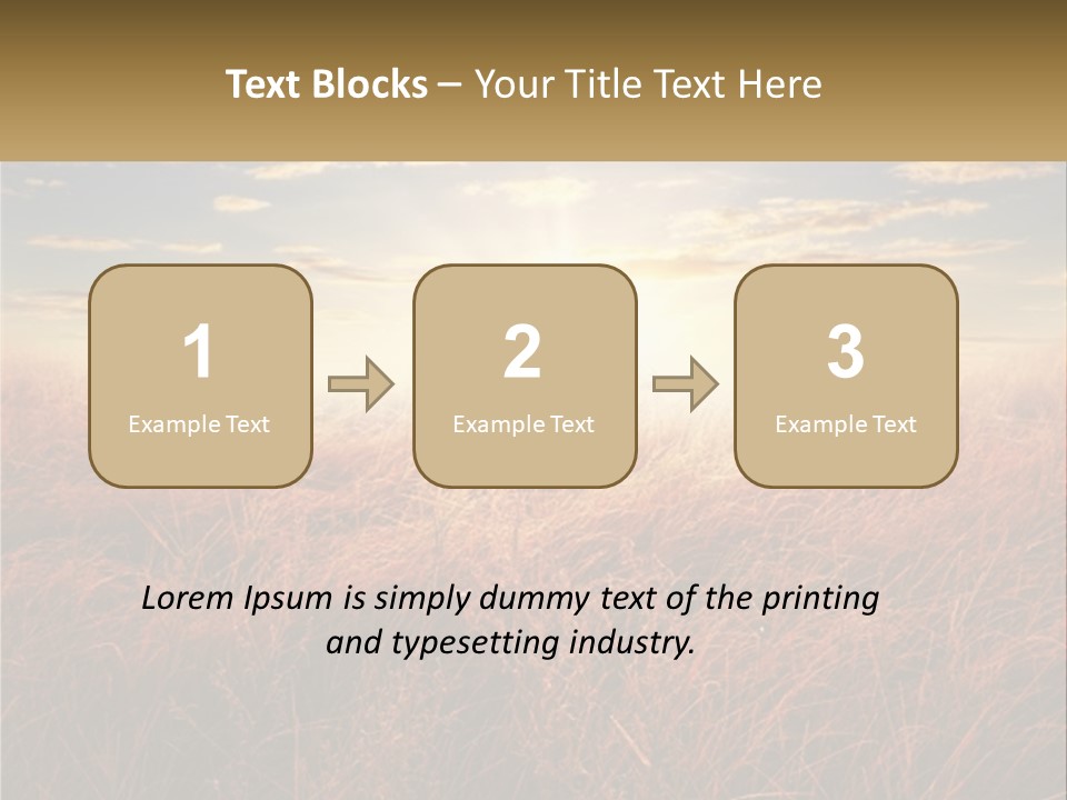 A Field Of Grass With The Sun In The Background PowerPoint Template