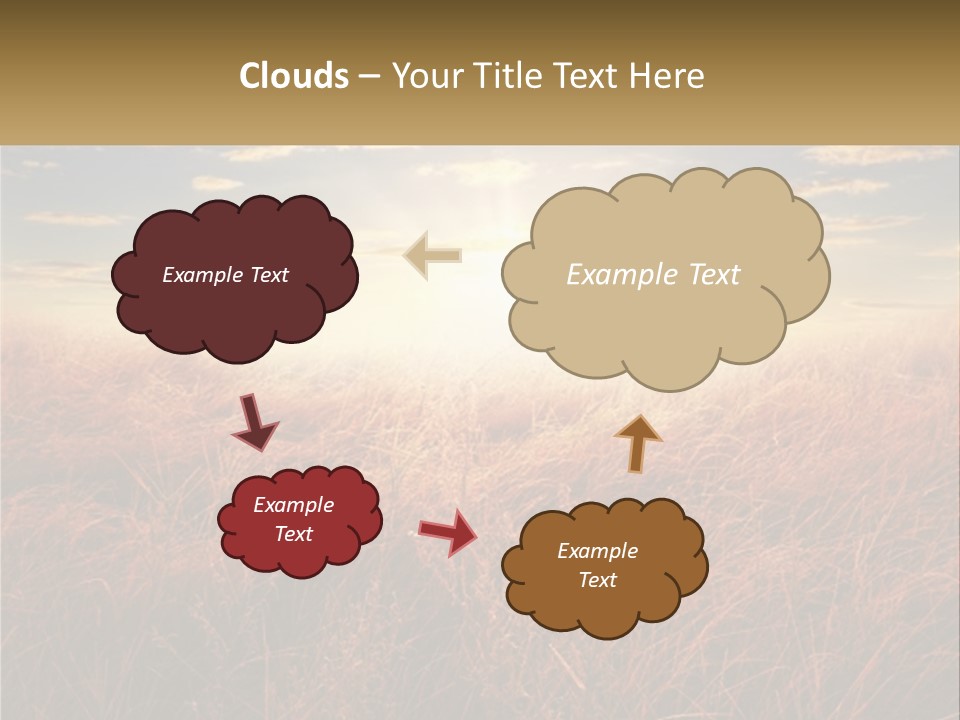 A Field Of Grass With The Sun In The Background PowerPoint Template