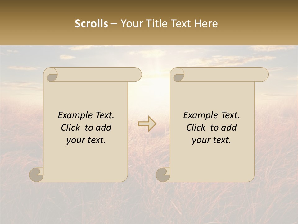 A Field Of Grass With The Sun In The Background PowerPoint Template