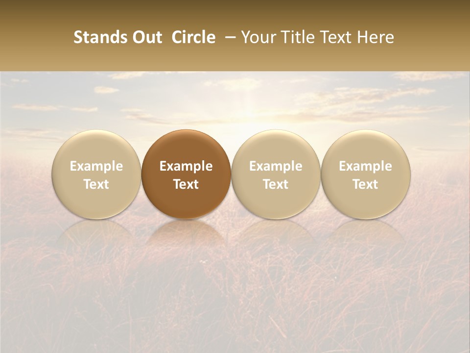A Field Of Grass With The Sun In The Background PowerPoint Template