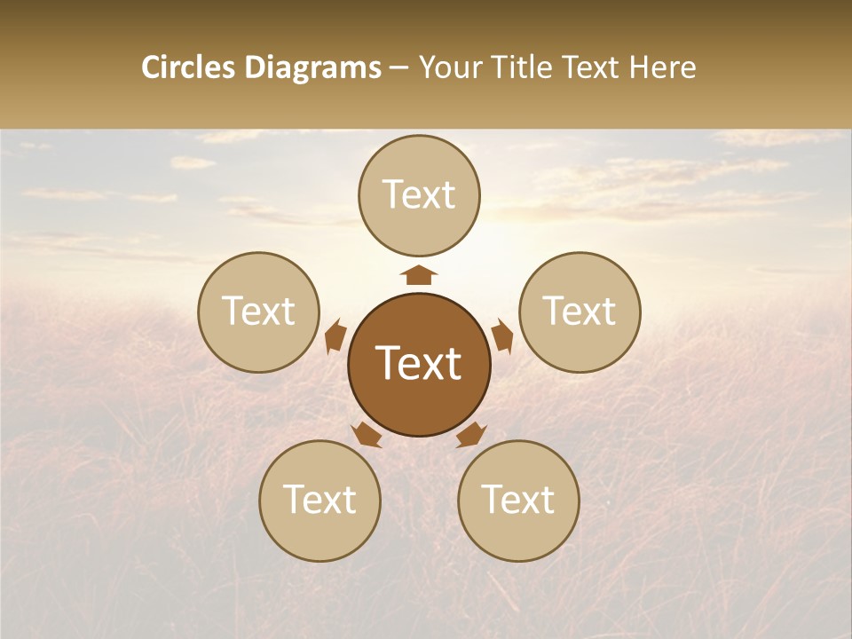 A Field Of Grass With The Sun In The Background PowerPoint Template