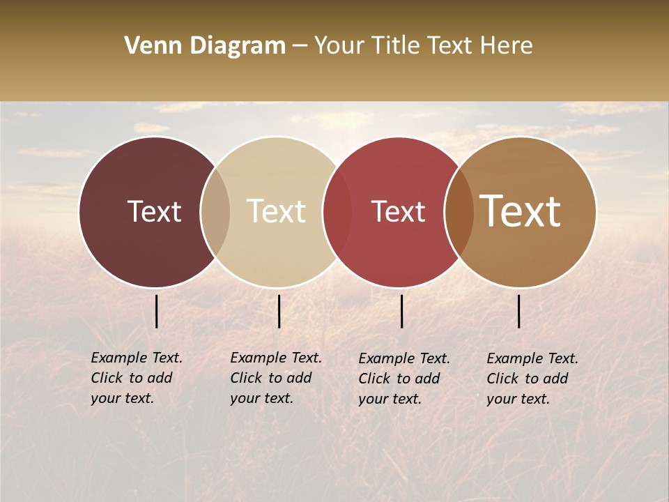 A Field Of Grass With The Sun In The Background PowerPoint Template