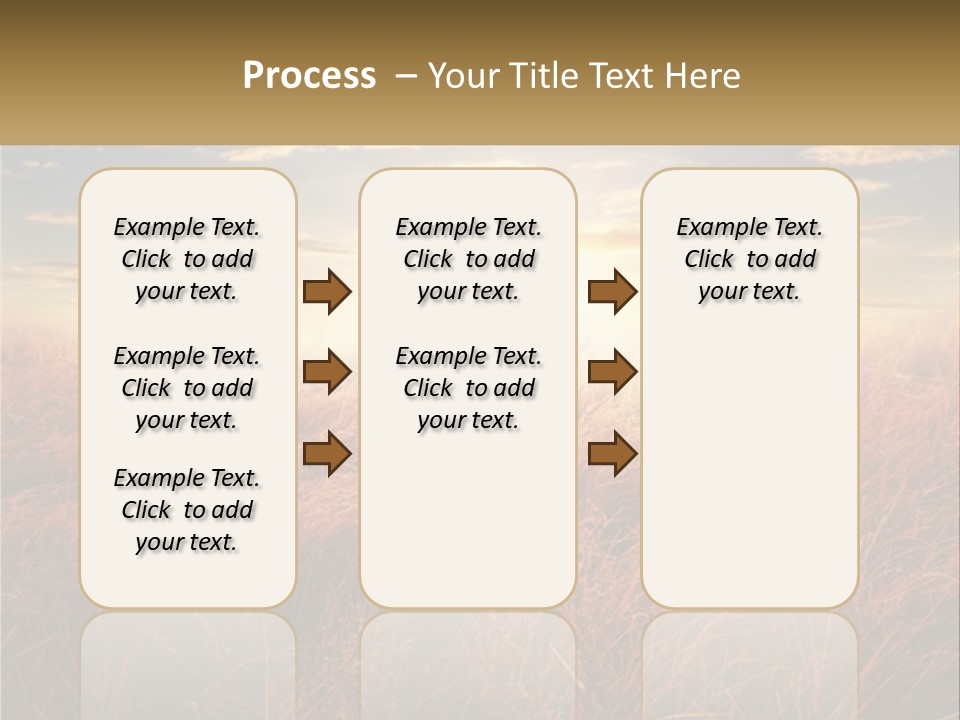 A Field Of Grass With The Sun In The Background PowerPoint Template
