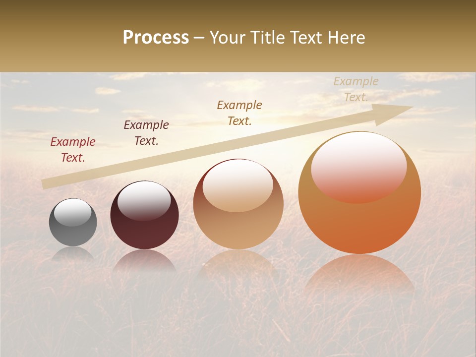 A Field Of Grass With The Sun In The Background PowerPoint Template