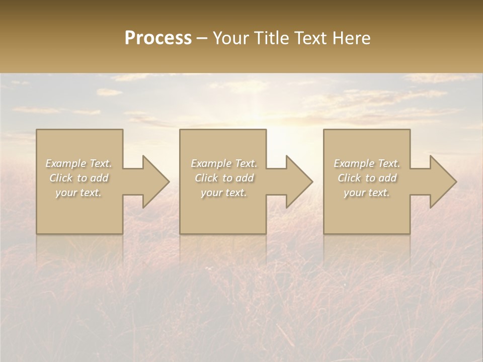 A Field Of Grass With The Sun In The Background PowerPoint Template