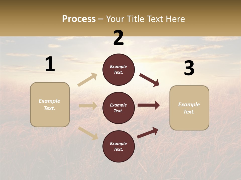A Field Of Grass With The Sun In The Background PowerPoint Template