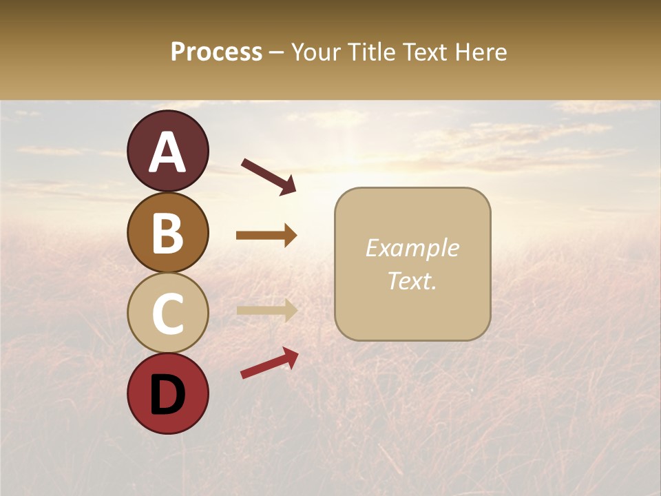 A Field Of Grass With The Sun In The Background PowerPoint Template