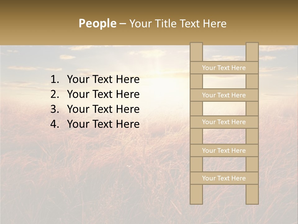 A Field Of Grass With The Sun In The Background PowerPoint Template