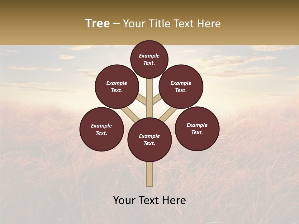 A Field Of Grass With The Sun In The Background PowerPoint Template