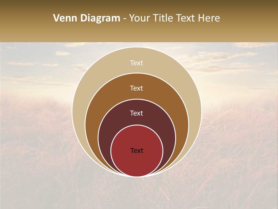A Field Of Grass With The Sun In The Background PowerPoint Template