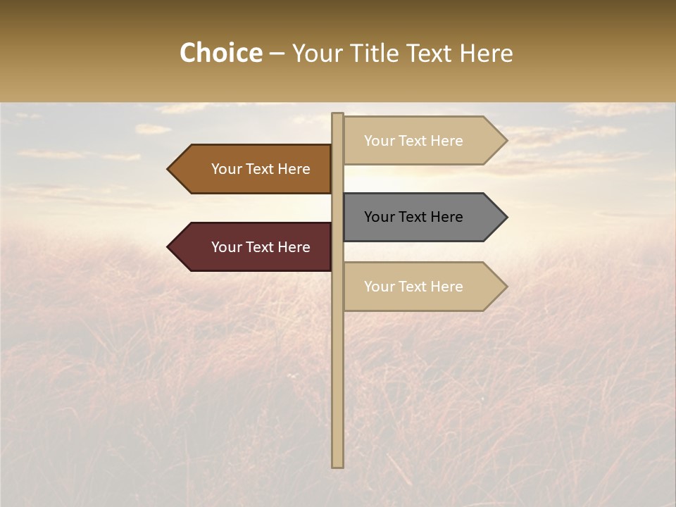 A Field Of Grass With The Sun In The Background PowerPoint Template