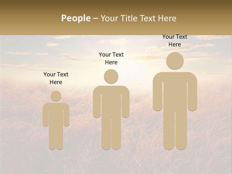 A Field Of Grass With The Sun In The Background PowerPoint Template