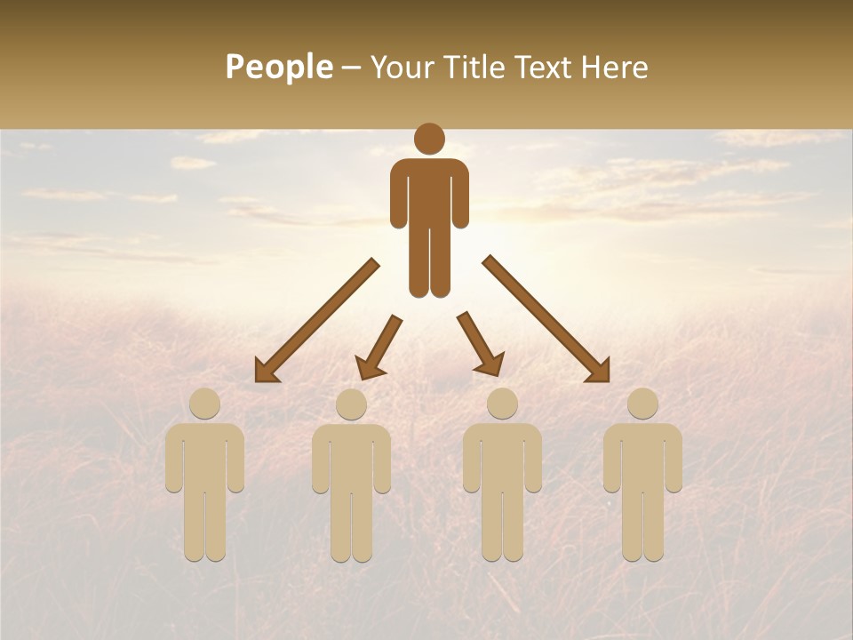 A Field Of Grass With The Sun In The Background PowerPoint Template