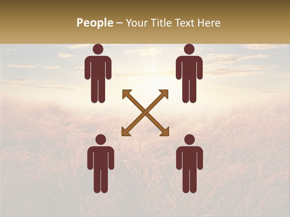 A Field Of Grass With The Sun In The Background PowerPoint Template