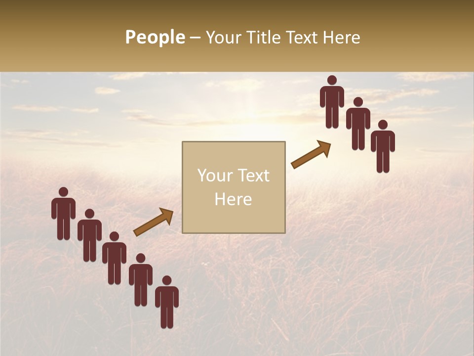 A Field Of Grass With The Sun In The Background PowerPoint Template