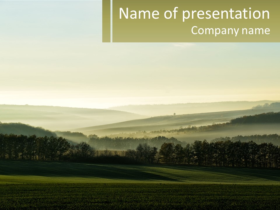 A Field With Trees And Fog In The Background PowerPoint Template