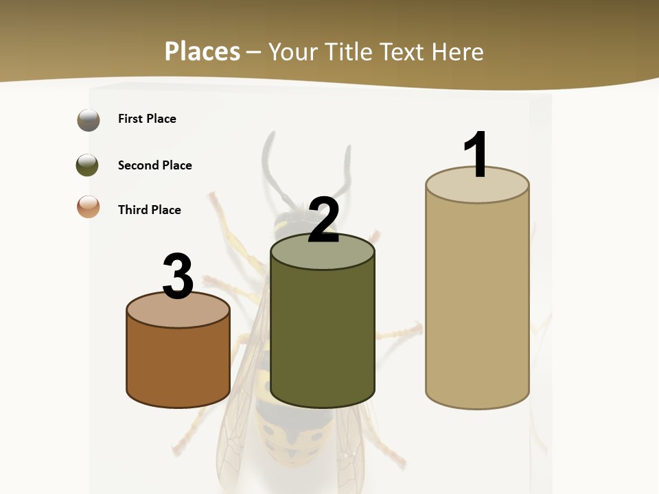 A Yellow And Black Insect On A White Background PowerPoint Template