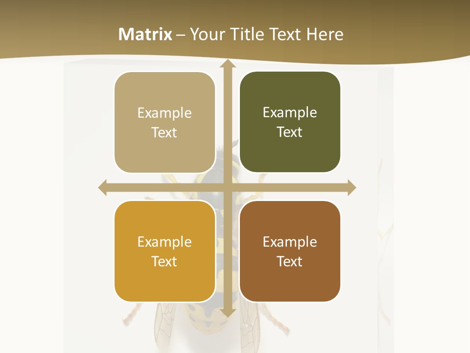 A Yellow And Black Insect On A White Background PowerPoint Template