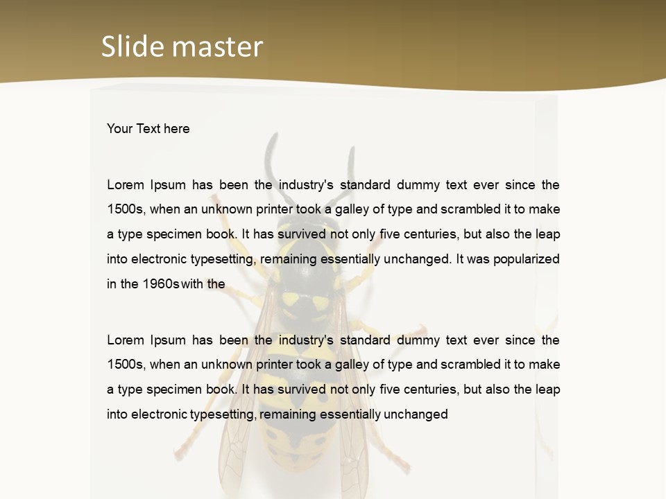 A Yellow And Black Insect On A White Background PowerPoint Template