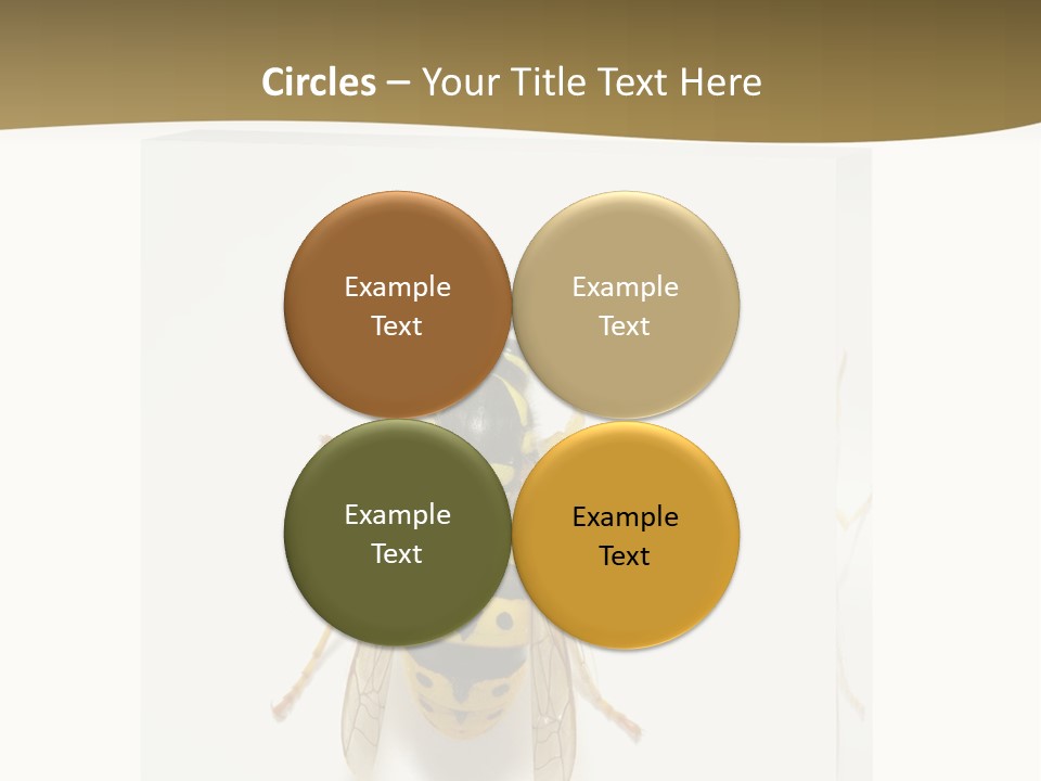 A Yellow And Black Insect On A White Background PowerPoint Template