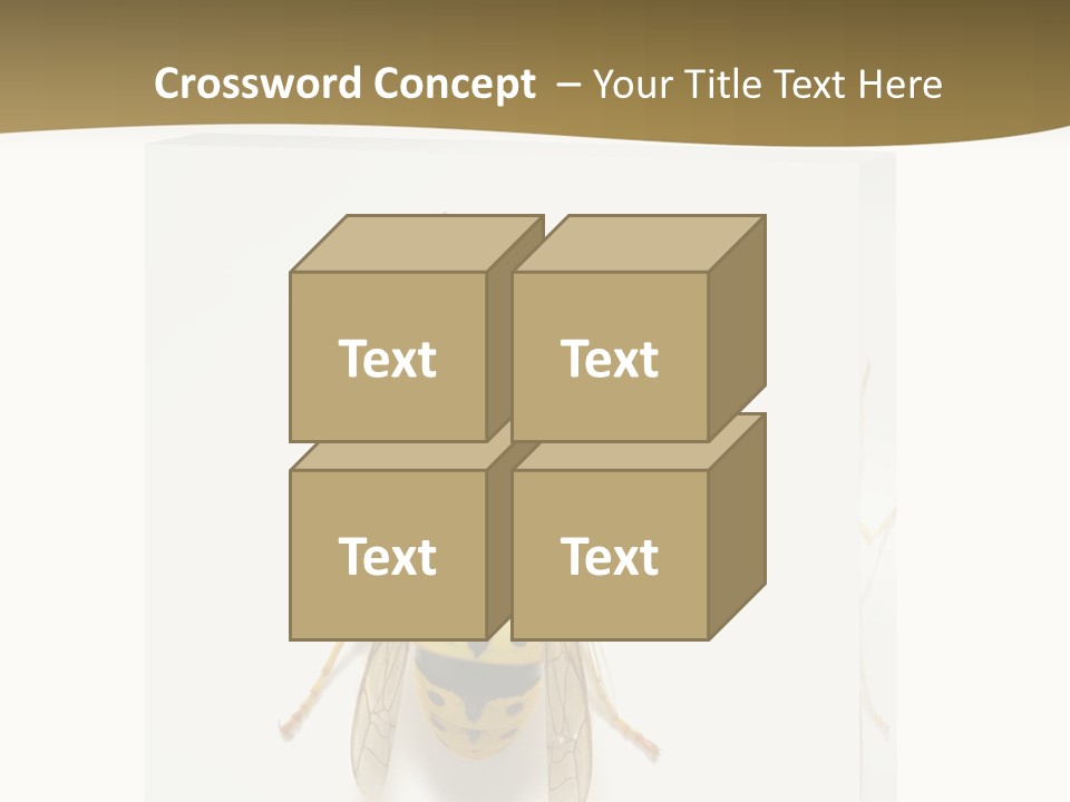 A Yellow And Black Insect On A White Background PowerPoint Template