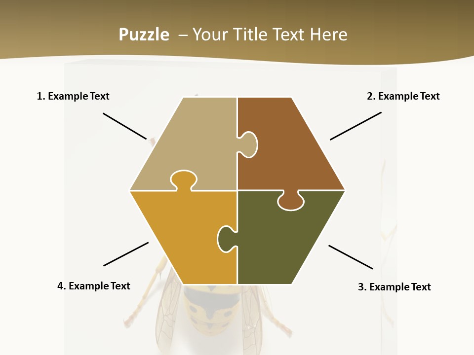 A Yellow And Black Insect On A White Background PowerPoint Template