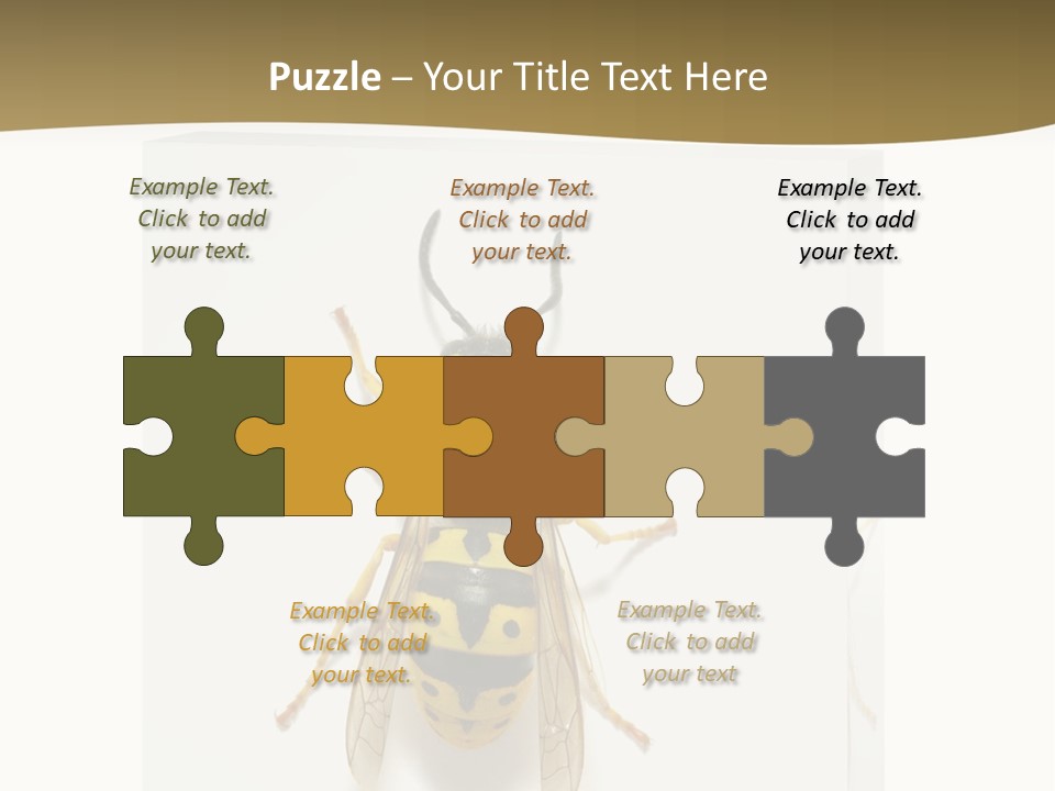 A Yellow And Black Insect On A White Background PowerPoint Template