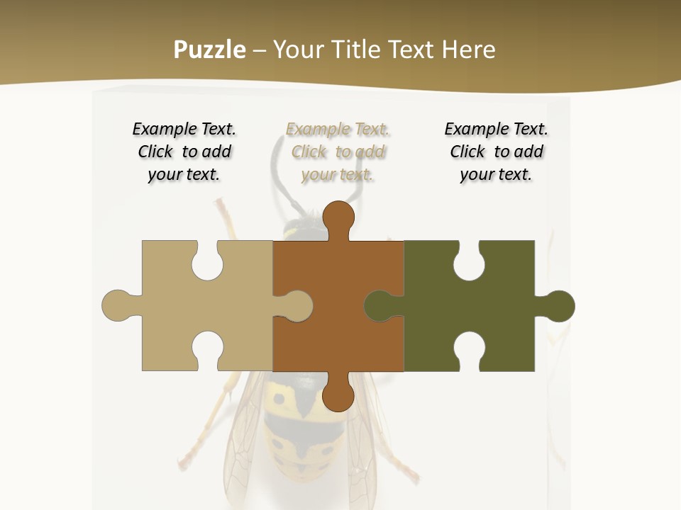 A Yellow And Black Insect On A White Background PowerPoint Template