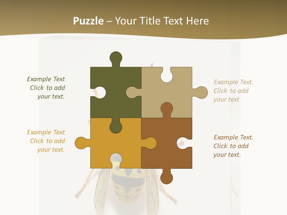 A Yellow And Black Insect On A White Background PowerPoint Template