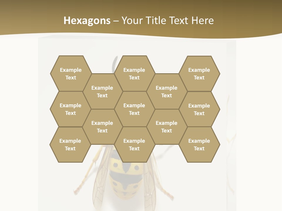 A Yellow And Black Insect On A White Background PowerPoint Template