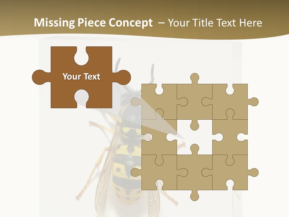 A Yellow And Black Insect On A White Background PowerPoint Template