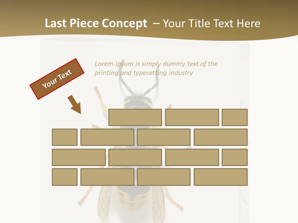 A Yellow And Black Insect On A White Background PowerPoint Template