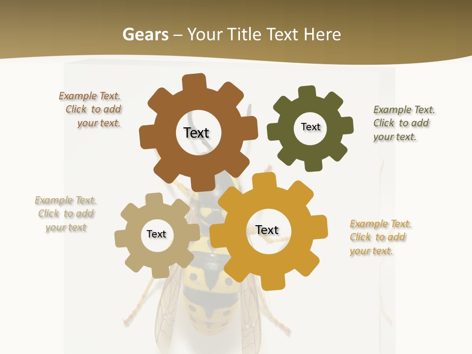 A Yellow And Black Insect On A White Background PowerPoint Template