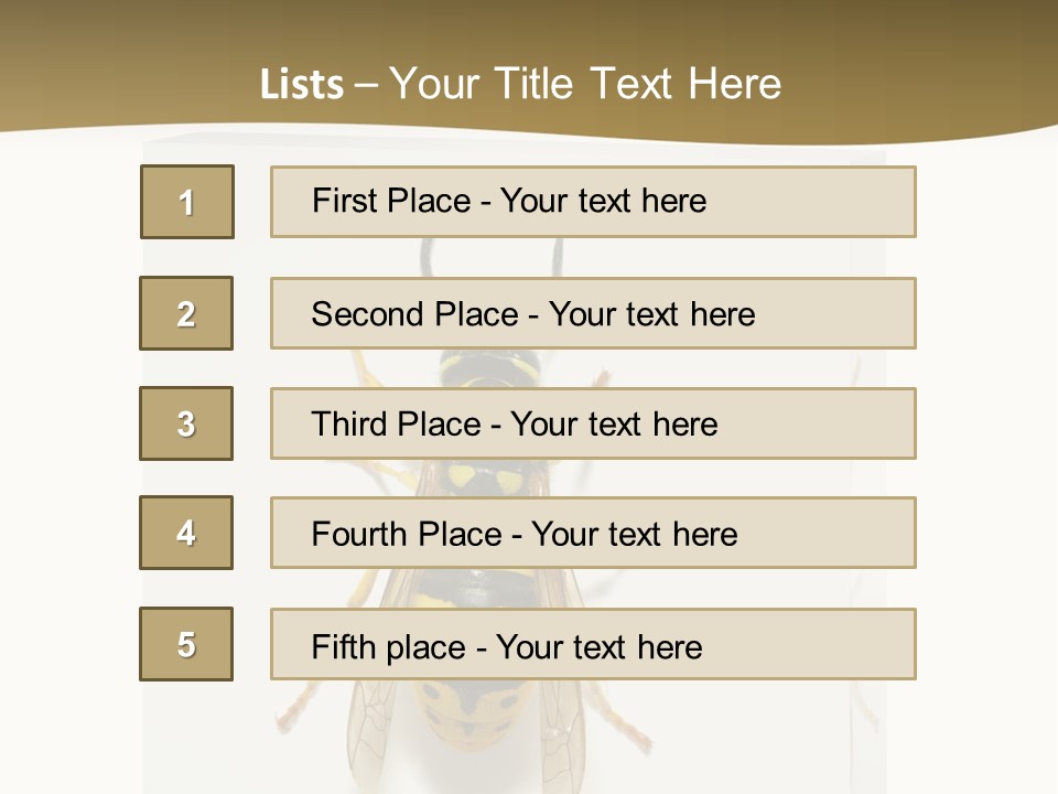 A Yellow And Black Insect On A White Background PowerPoint Template