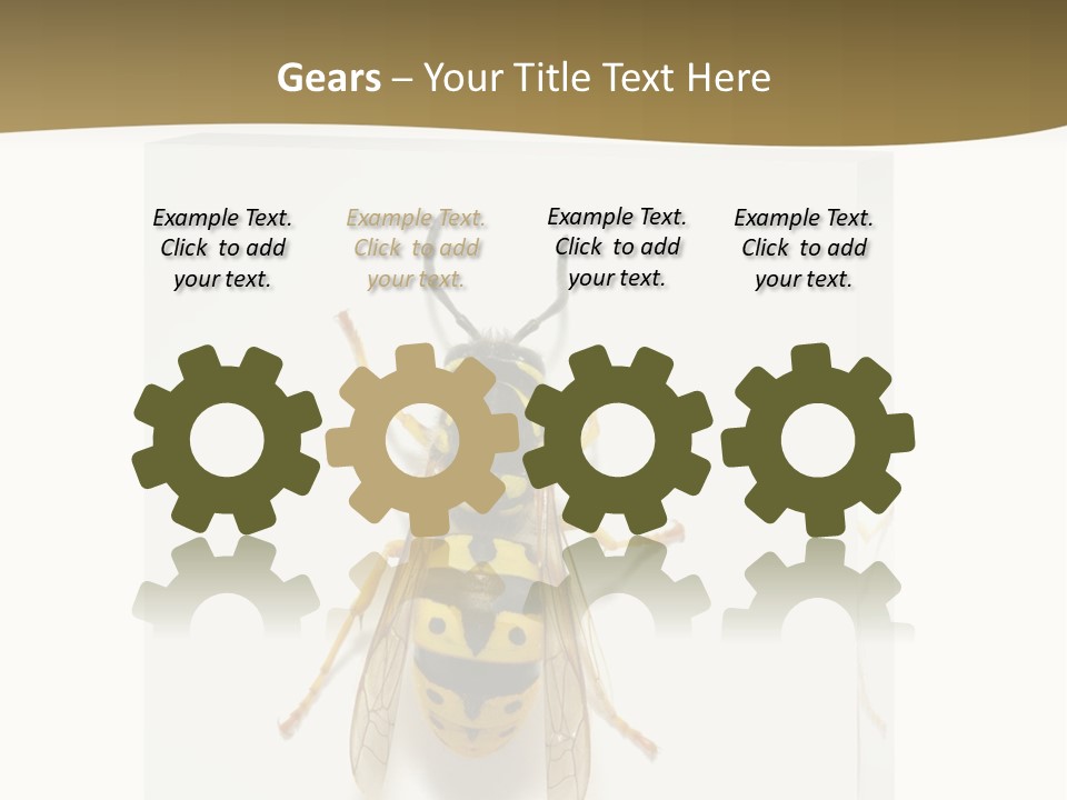 A Yellow And Black Insect On A White Background PowerPoint Template