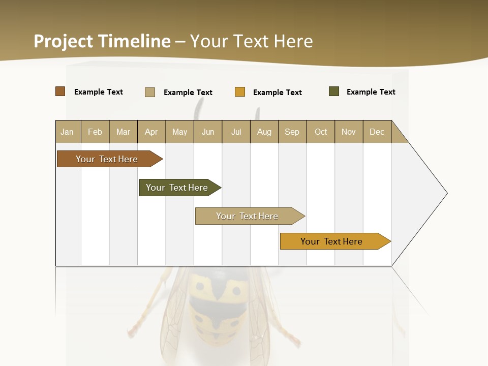 A Yellow And Black Insect On A White Background PowerPoint Template