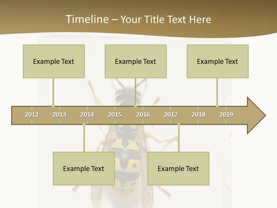 A Yellow And Black Insect On A White Background PowerPoint Template