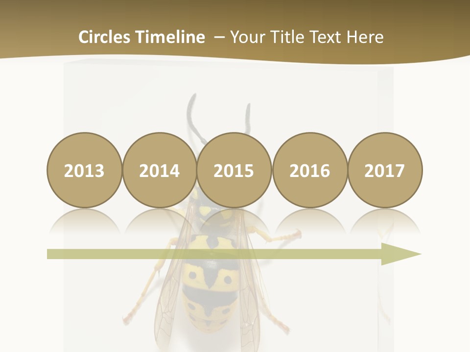 A Yellow And Black Insect On A White Background PowerPoint Template