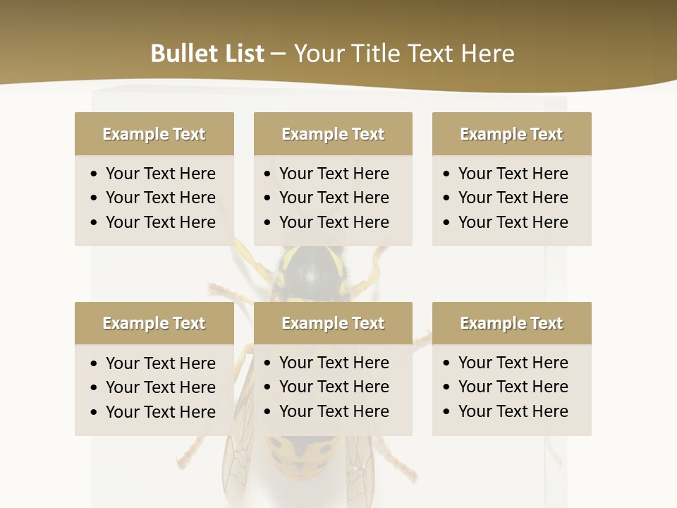 A Yellow And Black Insect On A White Background PowerPoint Template