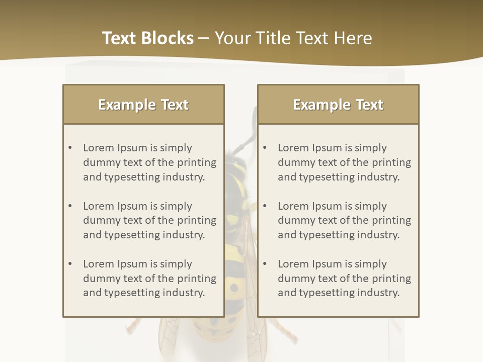 A Yellow And Black Insect On A White Background PowerPoint Template