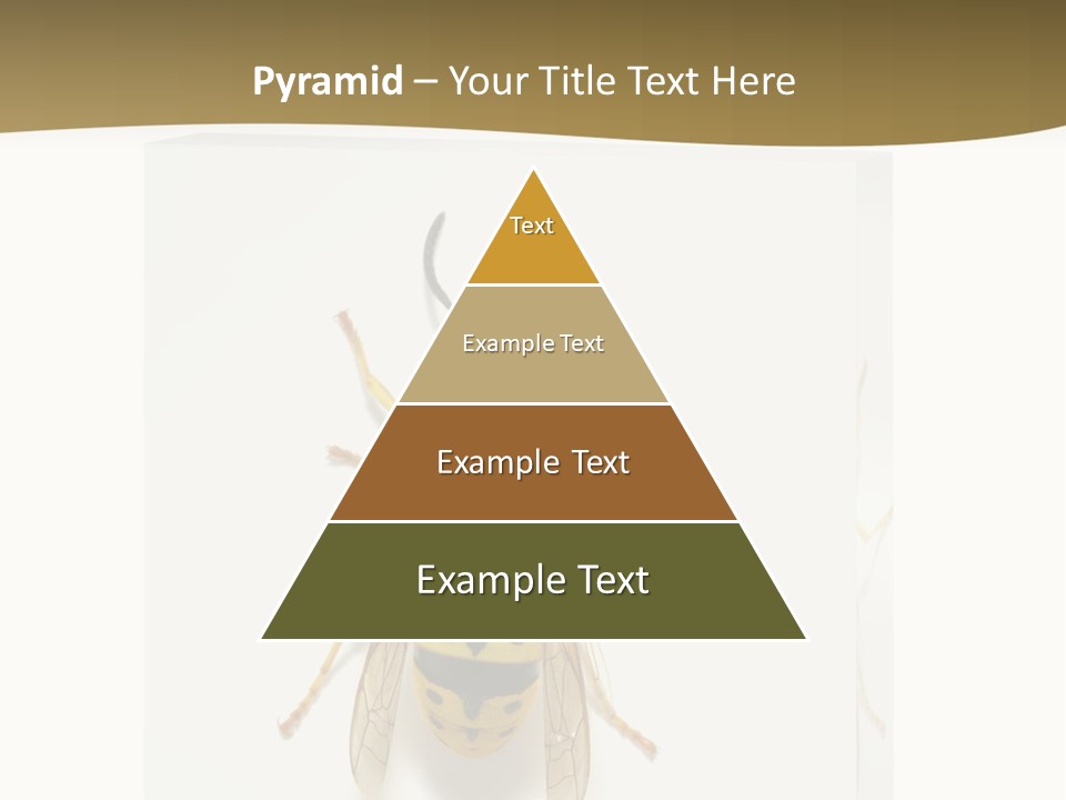 A Yellow And Black Insect On A White Background PowerPoint Template