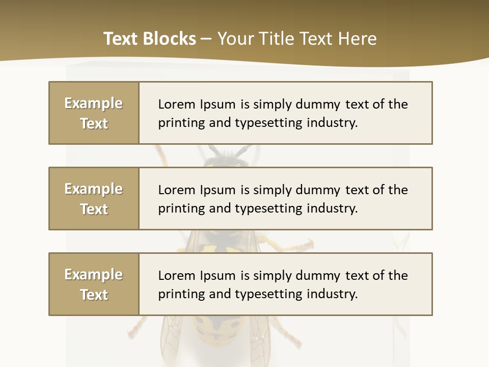 A Yellow And Black Insect On A White Background PowerPoint Template