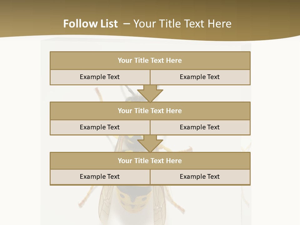 A Yellow And Black Insect On A White Background PowerPoint Template