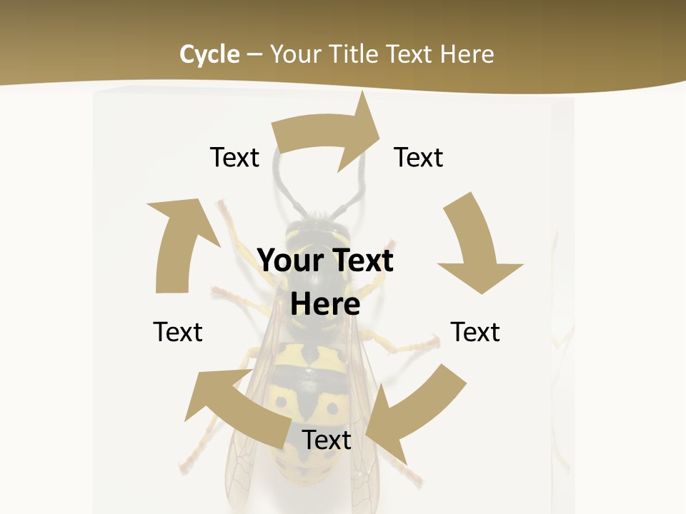 A Yellow And Black Insect On A White Background PowerPoint Template