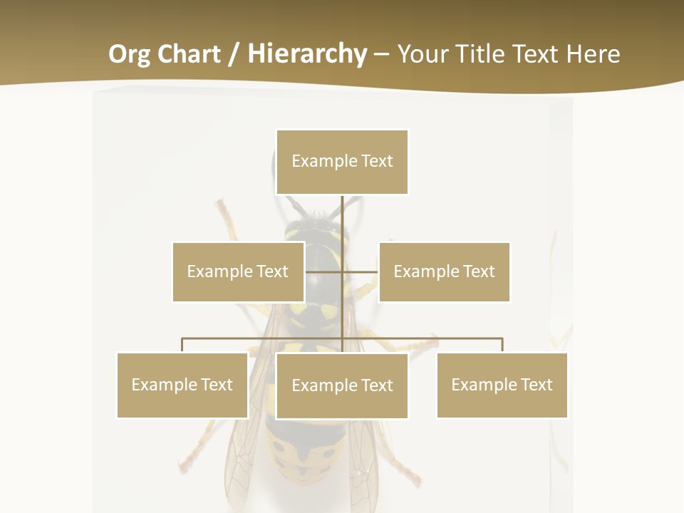 A Yellow And Black Insect On A White Background PowerPoint Template