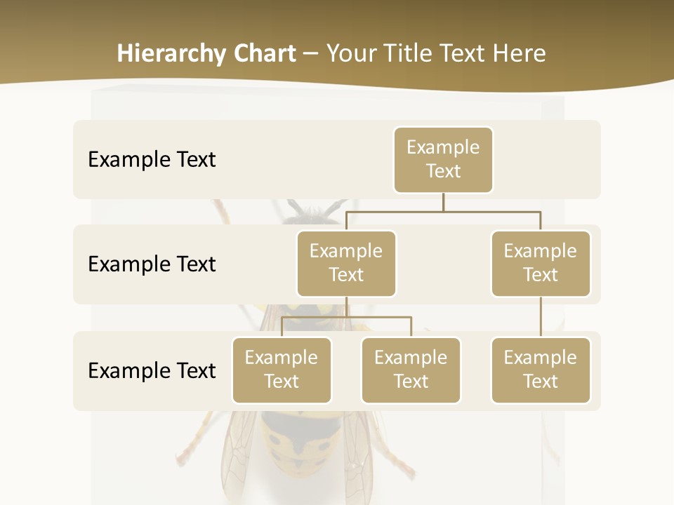 A Yellow And Black Insect On A White Background PowerPoint Template